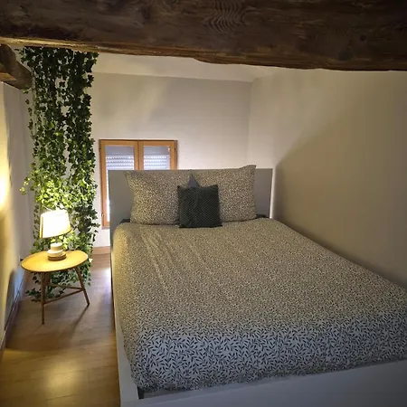 Joli Duplex En Plein Coeur Du Centre Villefranche-sur-Saône