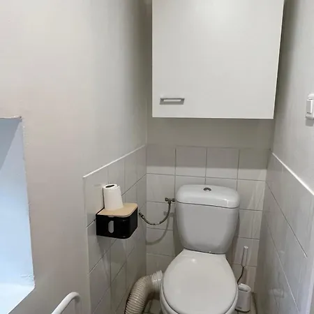 شقة Joli Duplex En Plein Coeur Du Centre Villefranche-sur-Saône