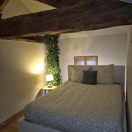 Joli Duplex En Plein Coeur Du Centre Apartment